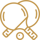 Carrom